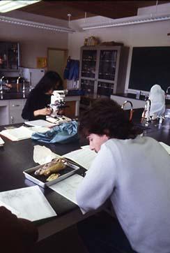 Students working on a science experiment.