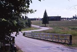 A view of the campus bridge.