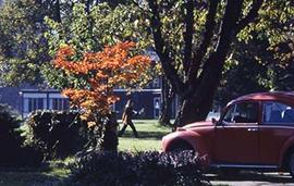 A view of a parking lot on campus.