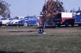 A student studying beside a tree on campus.