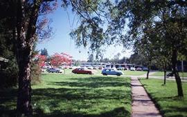 A view of campus grounds.