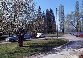 A view of campus grounds.