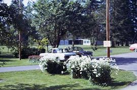 A view of campus grounds.