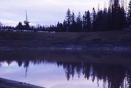 A view of McMillan Lake on campus.