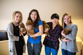 Students with puppies