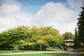 Campus grounds