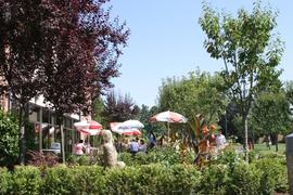 Reimer Patio