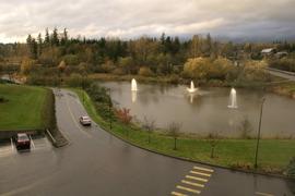 The Pond after a storm