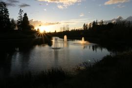 The Pond at sunset