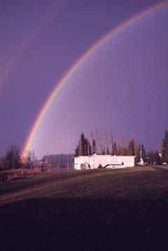 A rainbow over Trinity's campus.