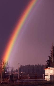 A rainbow over Trinity's campus.