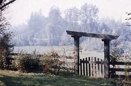 A view of campus grounds.