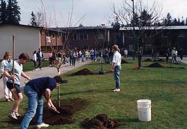 Tree planting ceremony