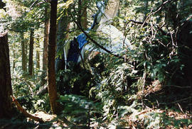 TWU plane crash at Stave Lake, BC