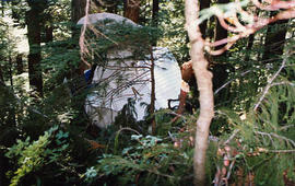 TWU Plane crash at Stave Lake, BC