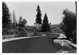 Construction of University Lane