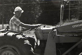 Member of maintenance staff driving a tractor