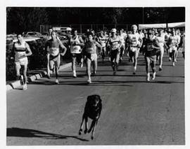 Participants starting the 10km Fun Run