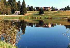 The pond with Mattson Centre on the hill in the background.