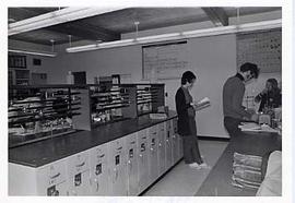 Chemistry students in the lab