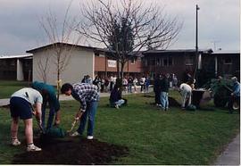 Tree planting ceremony