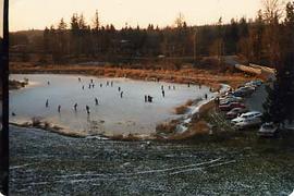 People skating on the pond in winter