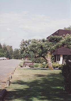 Apple tree in front of the Thompson Building